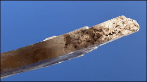 ~Unusual!~ 7.75" St. David Selenite Crystal Specimen from St. David, AZ