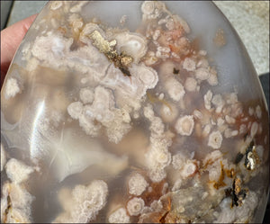 Cherry Blossom Agate Standing Stone with Cool VUGS - just under 2lbs