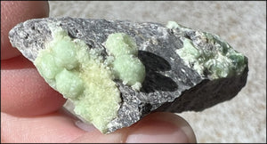 ~Old Stock~ Wavellite Crystal Specimen from Montgomery Co., Arkansas