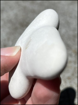 ~New!~ Fairy Stone Concretion Specimen from Spain! AKA Goddess Stone