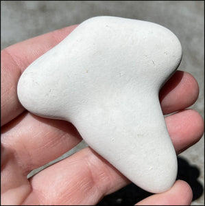 ~New!~ Fairy Stone Concretion Specimen from Spain! AKA Goddess Stone