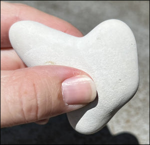 ~New!~ Fairy Stone Concretion Specimen from Spain! AKA Goddess Stone