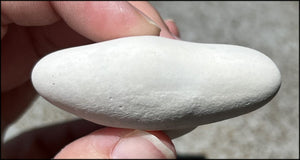~New!~ Fairy Stone Concretion Specimen from Spain! AKA Goddess Stone