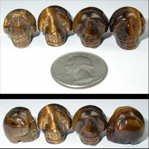 GOLDEN TIGER EYE Pocket Sized Crystal Skull - Let Go of Judgments!