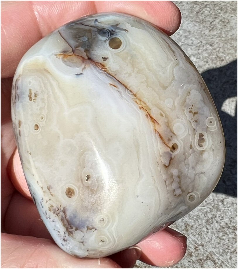 Stunning Madagascar Dendritic Agate Palm Stone - A gardener's stone!