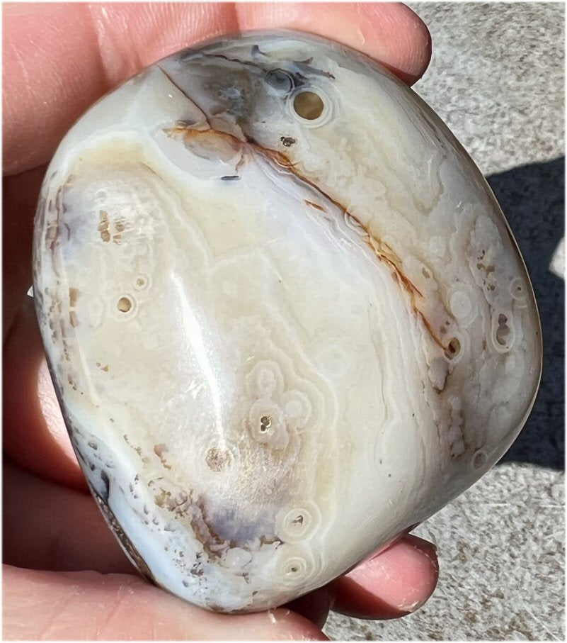 Stunning Madagascar Dendritic Agate Palm Stone - A gardener's stone!