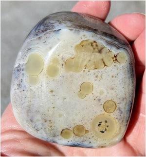 Stunning Madagascar Dendritic Agate Palm Stone - A gardener's stone!