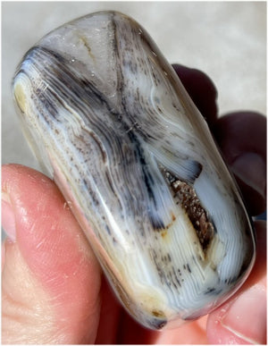 Stunning Madagascar Dendritic Agate Palm Stone - A gardener's stone!