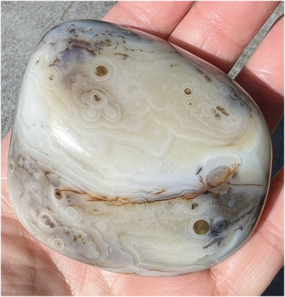 Stunning Madagascar Dendritic Agate Palm Stone - A gardener's stone!