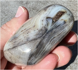 Stunning Madagascar Dendritic Agate Palm Stone - A gardener's stone!