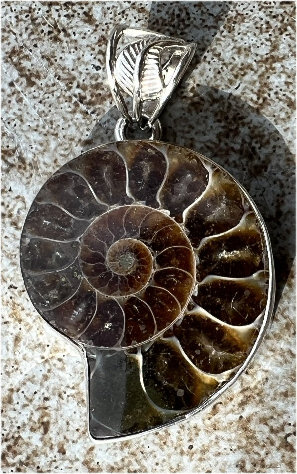 Sterling Silver and AMMONITE Fossil Pendant - Stability, Good for deep meditation!