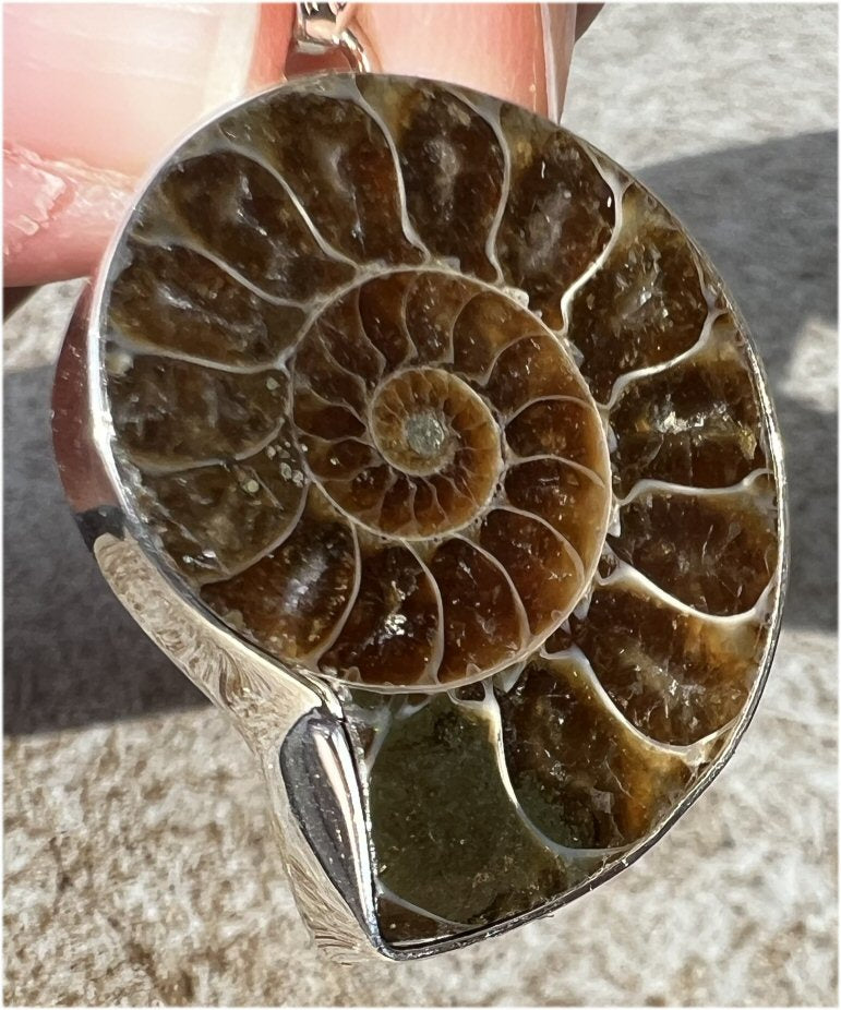 Sterling Silver and AMMONITE Fossil Pendant - Stability, Good for deep meditation!