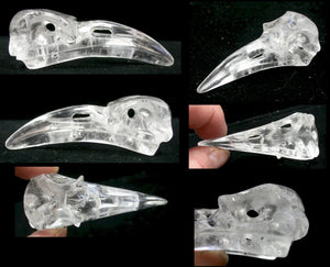 ONE Quartz Crystal RAVEN / BIRD Crystal Skull - Amazing details! Drilled to string for necklace!
