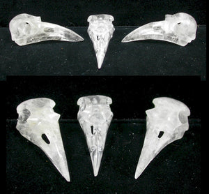 ONE Quartz Crystal RAVEN / BIRD Crystal Skull - Amazing details! Drilled to string for necklace!