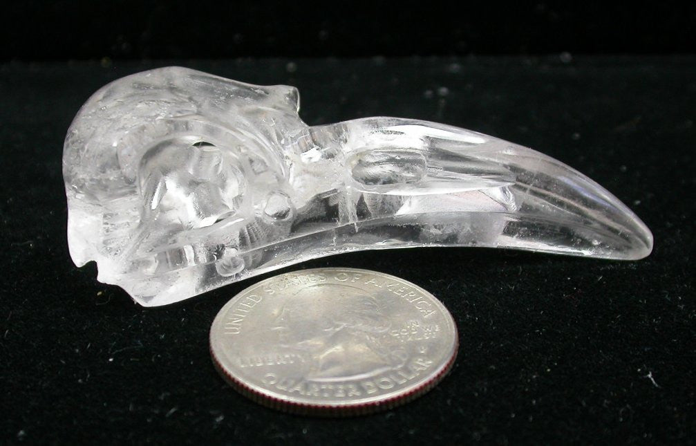 ONE Quartz Crystal RAVEN / BIRD Crystal Skull - Amazing details! Drilled to string for necklace!
