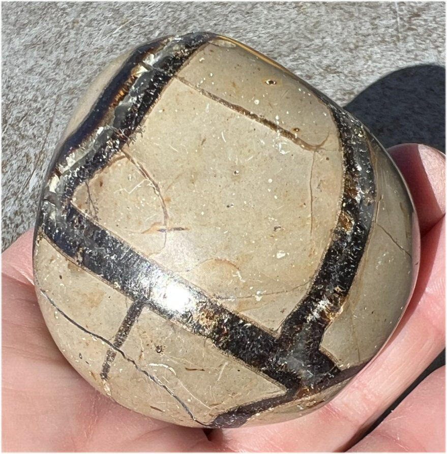 Madagascar SEPTARIAN Crystal Specimen - Vitality, Dispel negativity