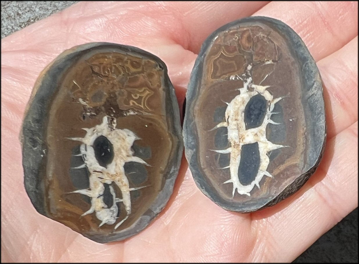 Moroccan Septarian Nodule Pair - Communication with Mother Earth