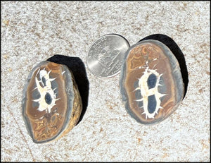 Moroccan Septarian Nodule Pair - Communication with Mother Earth