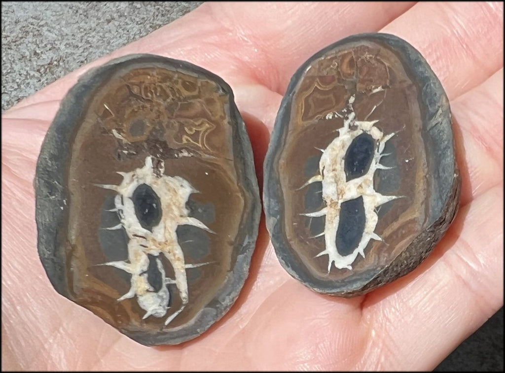 Moroccan Septarian Nodule Pair - Communication with Mother Earth