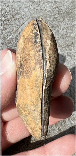 Moroccan Septarian Nodule Pair - Communication with Mother Earth