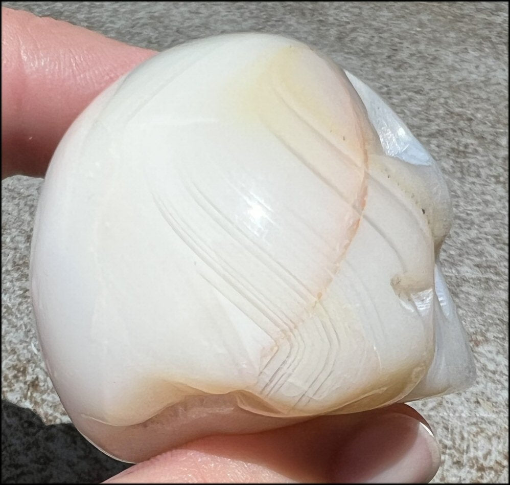 Dendritic Agate CRYSTAL SKULL with Bi-colored Dendritic inclusions