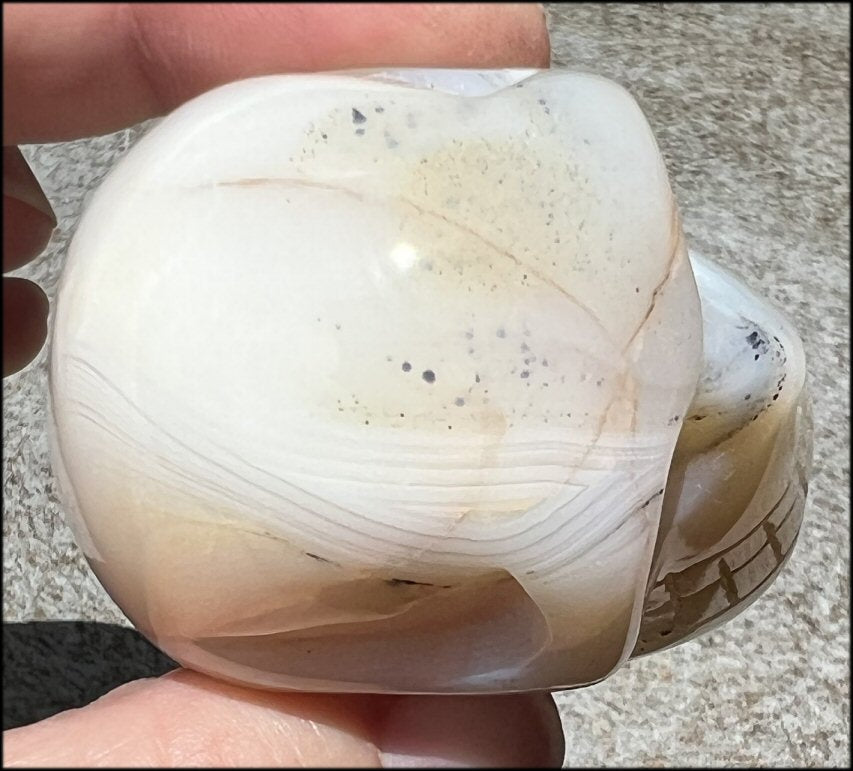 Dendritic Agate CRYSTAL SKULL with Bi-colored Dendritic inclusions