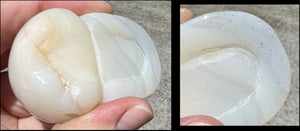 Dendritic Agate CRYSTAL SKULL with Bi-colored Dendritic inclusions