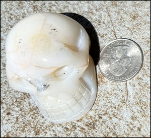 Dendritic Agate CRYSTAL SKULL with Bi-colored Dendritic inclusions