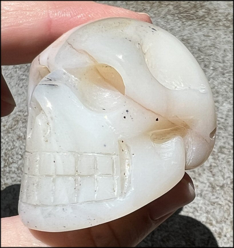 Dendritic Agate CRYSTAL SKULL with Bi-colored Dendritic inclusions
