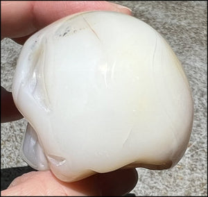 Dendritic Agate CRYSTAL SKULL with Bi-colored Dendritic inclusions