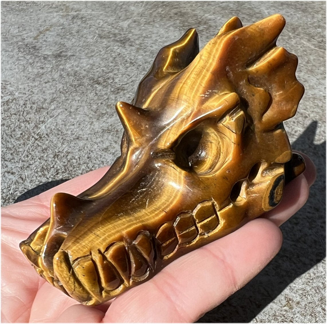 Golden Tiger Eye DRAGON Crystal Skull - Prosperity!