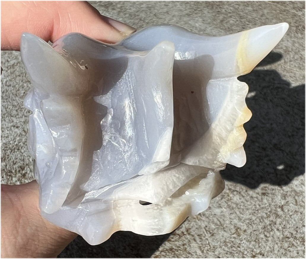 XL Agate DRAGON Crystal Skull - Vitality, Protection