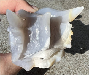 XL Agate DRAGON Crystal Skull - Vitality, Protection
