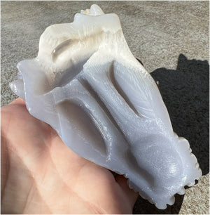 XL Agate DRAGON Crystal Skull - Vitality, Protection