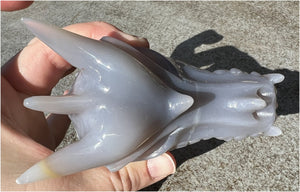 XL Agate DRAGON Crystal Skull - Vitality, Protection