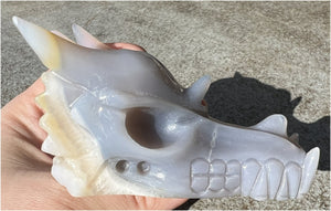 XL Agate DRAGON Crystal Skull - Vitality, Protection