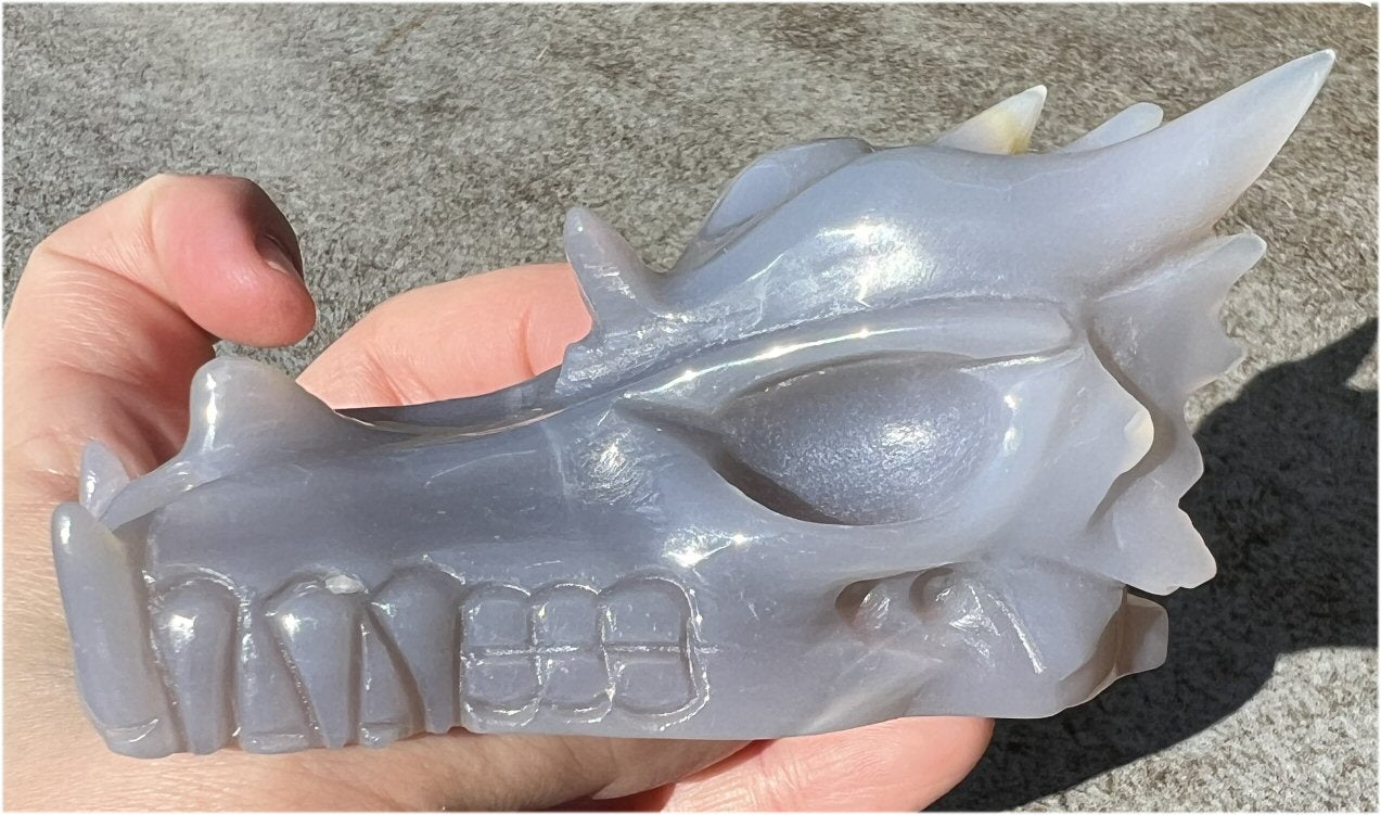 XL Agate DRAGON Crystal Skull - Vitality, Protection