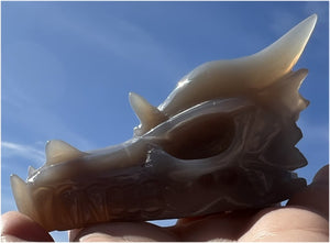 XL Agate DRAGON Crystal Skull - Vitality, Protection