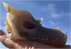 XL Agate DRAGON Crystal Skull - Vitality, Protection