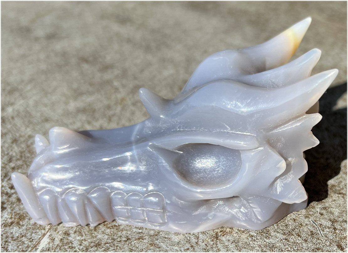 XL Agate DRAGON Crystal Skull - Vitality, Protection