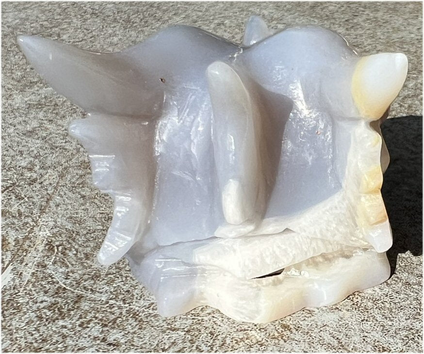 XL Agate DRAGON Crystal Skull - Vitality, Protection