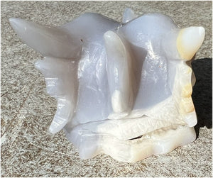 XL Agate DRAGON Crystal Skull - Vitality, Protection