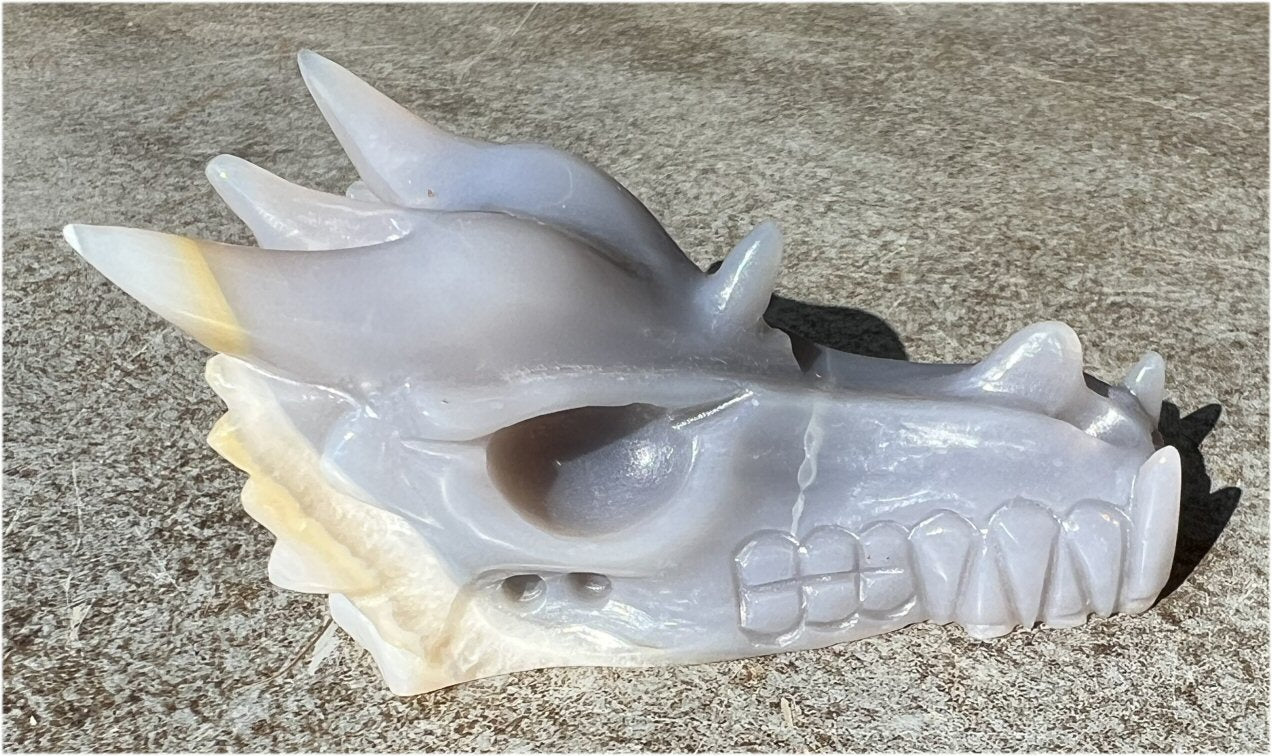 XL Agate DRAGON Crystal Skull - Vitality, Protection