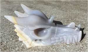 XL Agate DRAGON Crystal Skull - Vitality, Protection