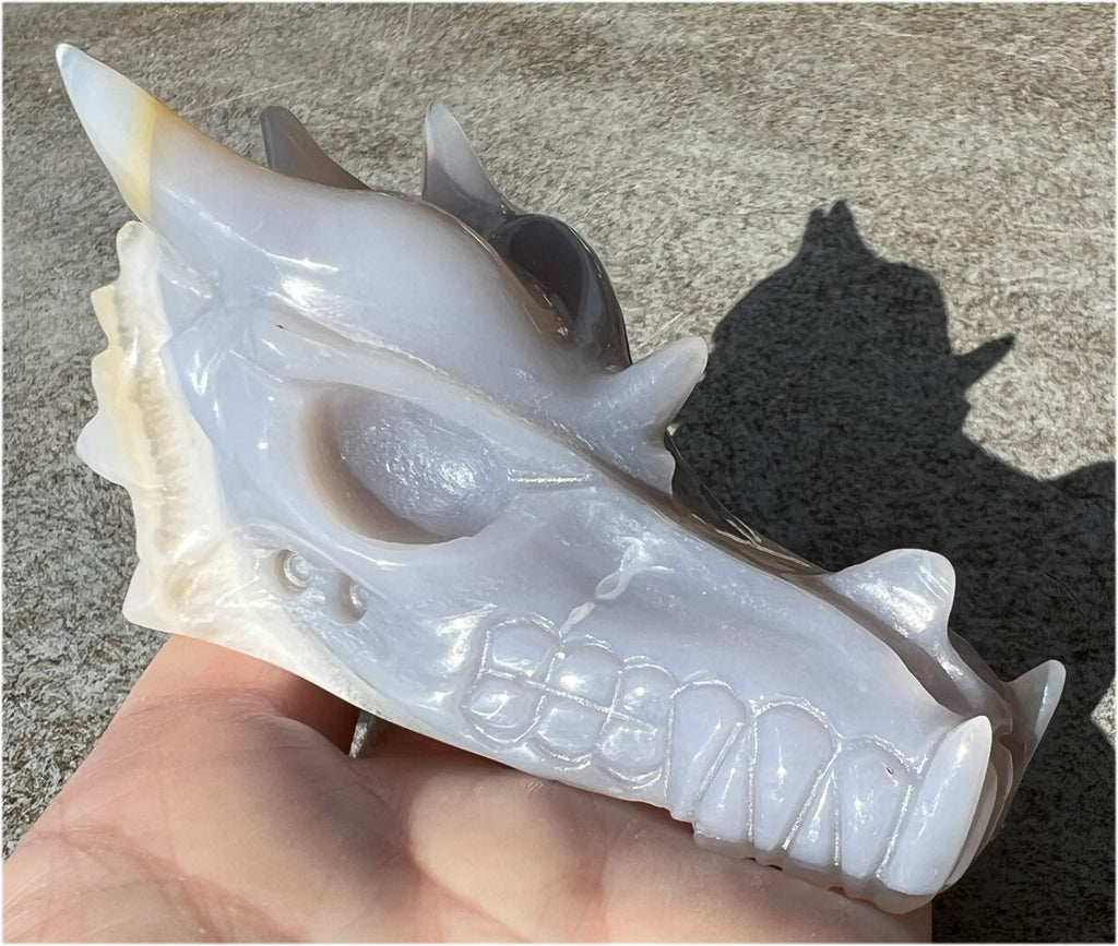 XL Agate DRAGON Crystal Skull - Vitality, Protection