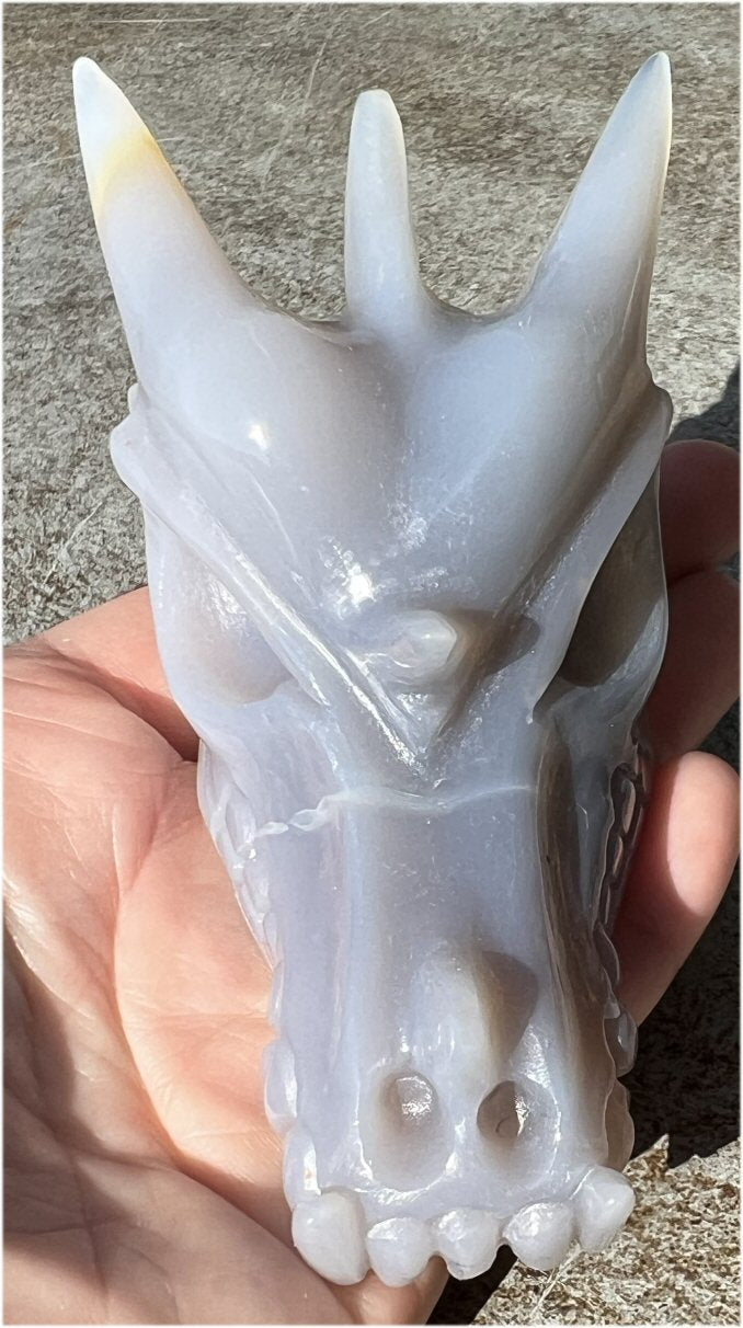 XL Agate DRAGON Crystal Skull - Vitality, Protection