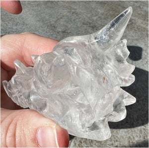 Quartz Dragon Crystal Skull with Hematite inclusions - Focus, Transformation