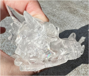 Quartz Dragon Crystal Skull with Hematite inclusions - Focus, Transformation