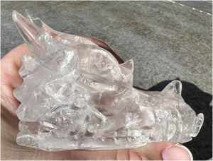 Quartz Dragon Crystal Skull with Hematite inclusions - Focus, Transformation