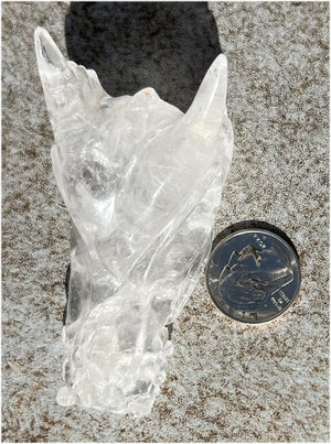 Quartz Dragon Crystal Skull with Hematite inclusions - Focus, Transformation